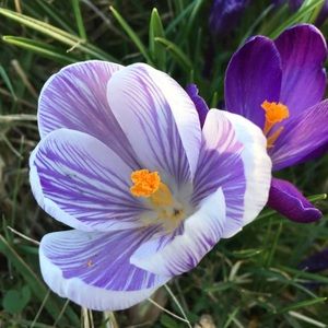 Meet your Posher, Mia